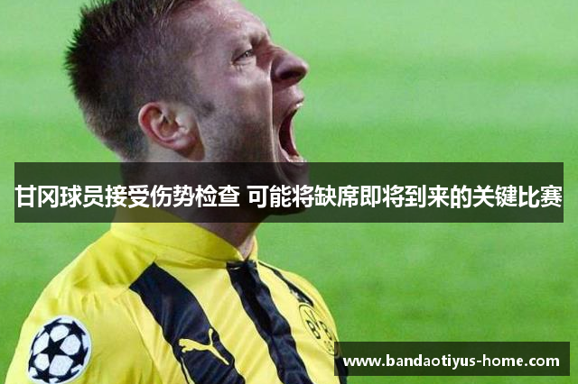 甘冈球员接受伤势检查 可能将缺席即将到来的关键比赛