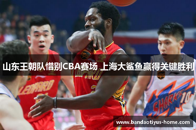 山东王朝队惜别CBA赛场 上海大鲨鱼赢得关键胜利