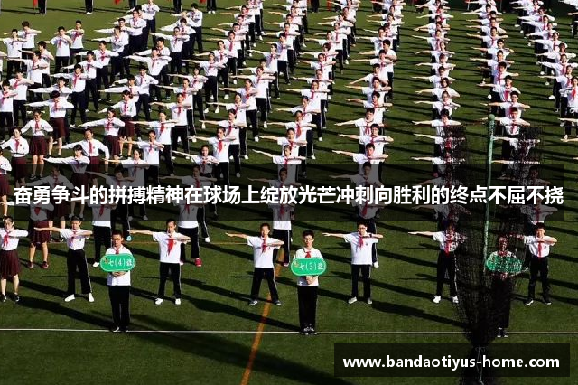 奋勇争斗的拼搏精神在球场上绽放光芒冲刺向胜利的终点不屈不挠