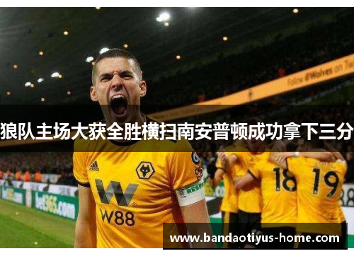 狼队主场大获全胜横扫南安普顿成功拿下三分