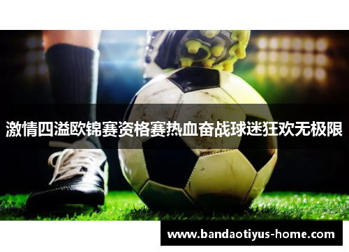 激情四溢欧锦赛资格赛热血奋战球迷狂欢无极限