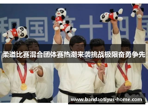 柔道比赛混合团体赛热潮来袭挑战极限奋勇争先